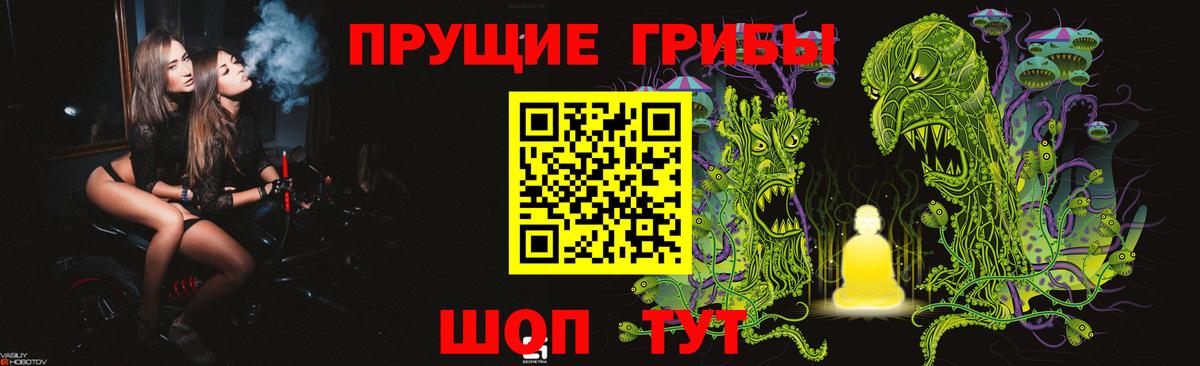 Костомукша  Псилоцибиновые грибы Magic Shrooms  Вход с VPN 